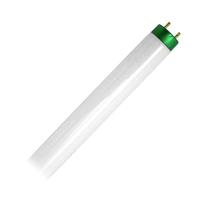Philips 17 watt 24" T8 Bi-Pin Base 5000K Daylight