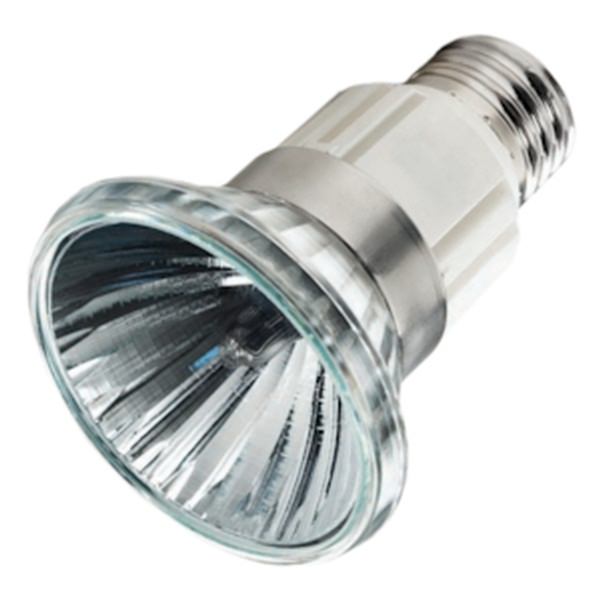 20 watt 120 volt PAR20 Medium Screw Base Clear Spot