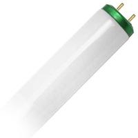 Philips 40 watt 48" T12 Medium Bi-Pin Base 5000K Daylight