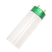 Philips 18" 15 watt 120 volt T8 Bi-Pin Base 6500K Daylight