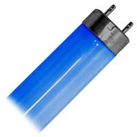 Philips 60" 58 watt Dimmable Fluorescent