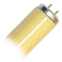 Click to view larger photo