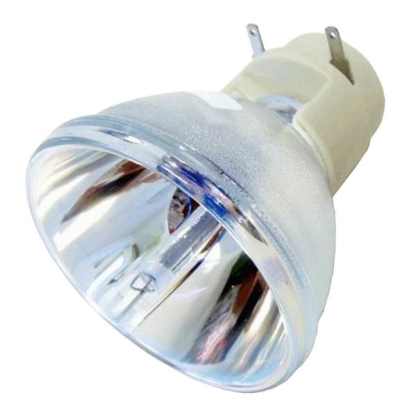 69805 Bulb Projector Lamp