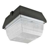 naturaLED 60 watt 120/277 volt 5000K Daylight LED Ceiling/Canopy Fixture