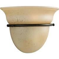 Progress Lighting 1 Light Forged Bronze Vanity Tea-stained Glass Light Fixture