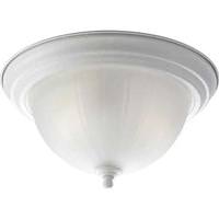 Progress Lighting 2 Light White Etched Ribbed Glass Ceiling Light Fixture