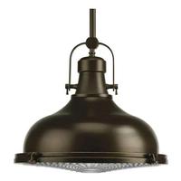Progress Lighting 1 Light Oil Rubbed Bronze Fresnel Glass Lens Pendant Light Fixture