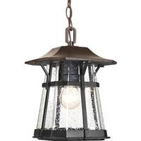 Progress Lighting 1 Light Espresso with Clear Seeded Glass Hanging Lantern Light Fixture