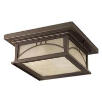 Progress Lighting 2 Light Antique Bronze Finish Umber Textured Art Glass Light Fixture