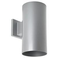 Progress Lighting 29.3 watt 120 volt 3000K Natural White  Metallic Gray Finish Outdoor LED Wall Light Fixture