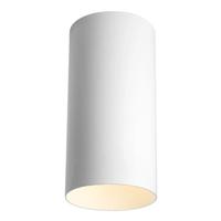 Progress Lighting 1 Light White Aluminum Construction Cylinder LED Light Fixture