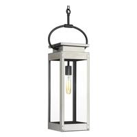 Progress Lighting 1 Light Stainless Steel with Clear Glass Hanging Lantern Light Fixture