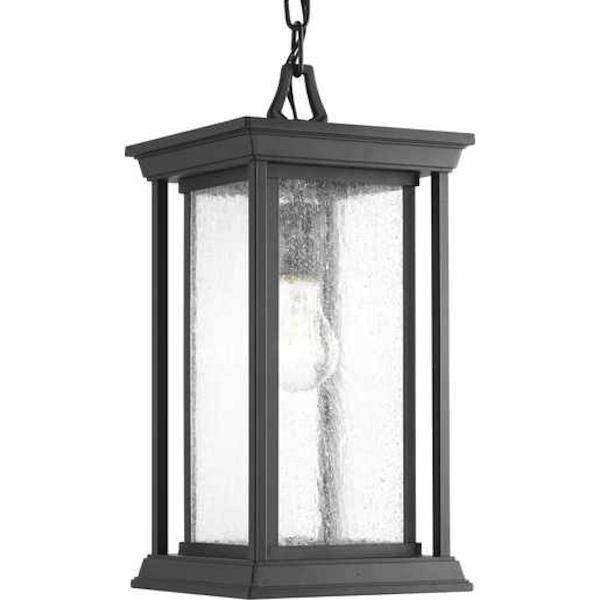1 Light Black with Clear Seeded Glass Endicott Hanging Light Fixture