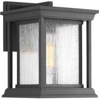 Progress Lighting 1 Light Black with Clear Seeded Glass Endicott Wall Light Fixture