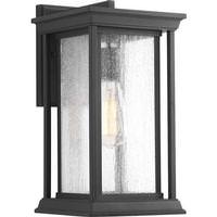 Progress Lighting 1 Light Black with Clear Seeded Glass Medium Endicott Wall Light Fixture
