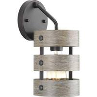 Progress Lighting 1 Light 120 volt Graphite Vanity Light Fixture