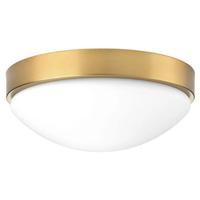 Progress Lighting 13" 17 watt 120 volt 3000K Brushed Bronze Etched Glass LED Light Fixture
