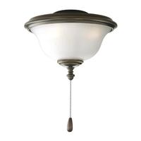 Progress Lighting 2 Light Antique Bronze Frosted Seeded Glass Bowl AirPro Collection Light Kit