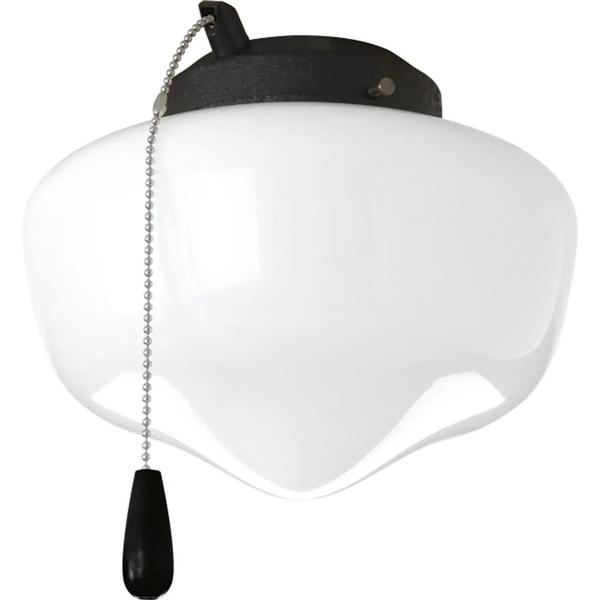1 Light Forged Black Opal Glass Shade AirPro Collection Light Kit
