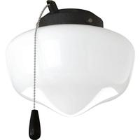 Progress Lighting 1 Light Forged Black Opal Glass Shade AirPro Collection Light Kit