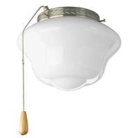 Progress Lighting 1 Light Brushed Nickel Opal Glass Shade AirPro Collection Light Kit
