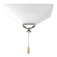 Progress Lighting 2 Light Brushed Nickel/Antique Bronze Finish Etched Glass Bowl AirPro Collection Light Kit