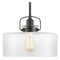 Progress Lighting 1 Light Antique Bronze Clear Glass Shade Pendant Light Fixture