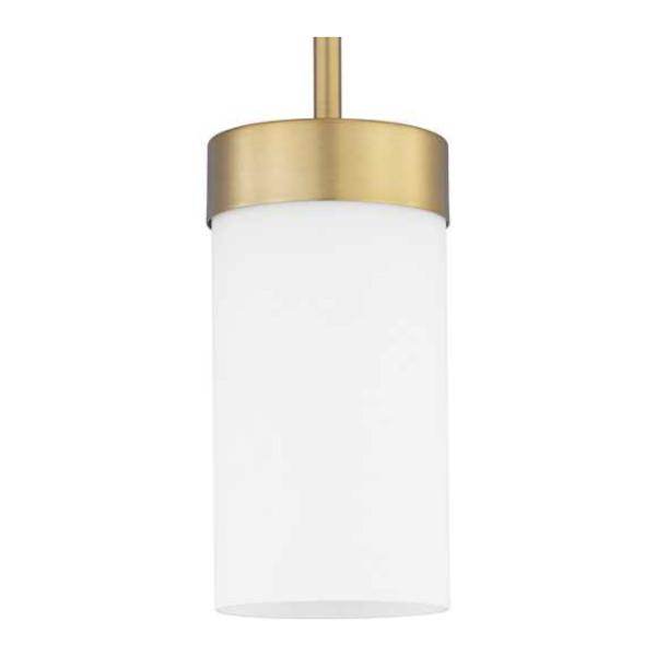 1 Light Brushed Bronze Etched White Glass Shade Outside Dimmable Pendant Light Fixture