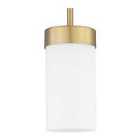 Progress Lighting 1 Light Brushed Bronze Etched White Glass Shade Outside Dimmable Pendant Light Fixture
