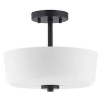 Progress Lighting 2 Light 120 volt Matte Black Etched White Glass Bowl Semi-Flush Ceiling Light Fixture