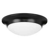 Progress Lighting 1 Light 120 volt Matte Black Etched Glass Ceiling Light Fixture