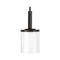 Progress Lighting 1 Light Antique Bronze Clear Glass with Etched White Glass Shade Mini Pendant Light Fixture