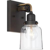 Progress Lighting 1 Light 120 volt Graphite Vanity Clear Glass Light Fixture