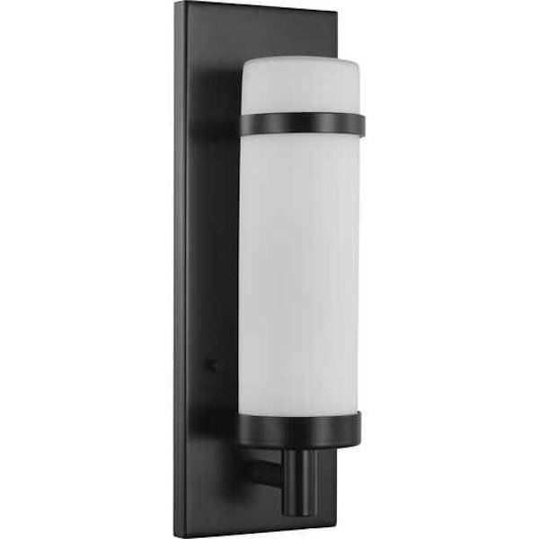 1 Light 120 volt Matte Black Etched Opal Glass Light Fixture