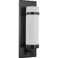 Progress Lighting 1 Light 120 volt Matte Black Etched Opal Glass Light Fixture
