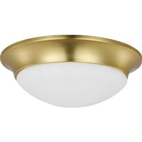 Progress Lighting 2 Light 120 volt Satin Brass Etched Glass Ceiling Light Fixture