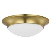 Progress Lighting 1 Light 120 volt Satin Brass Etched White Glass Ceiling Light Fixture