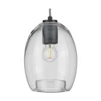 Progress Lighting 1 Light Graphite Clear Glass Shade Pendant Light Fixture