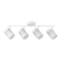 Progress Lighting 4 Light Satin White Etched Cylindrical Glass Shade Ridgecrest Collection Directional Light Fixture
