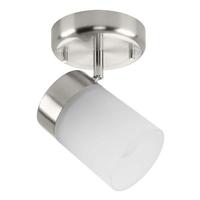 Progress Lighting 1 Light Brushed Nickel Etched Cylindrical Glass Shade Ridgecrest Collection Directional Light Fixture