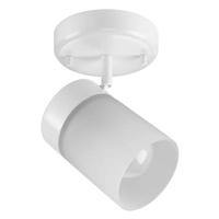 Progress Lighting 1 Light Satin White Etched Cylindrical Glass Shade Ridgecrest Collection Directional Light Fixture