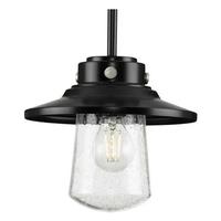 Progress Lighting 1 Light Matte Black Clear Seeded Glass Outdoor Hanging Light Fixture