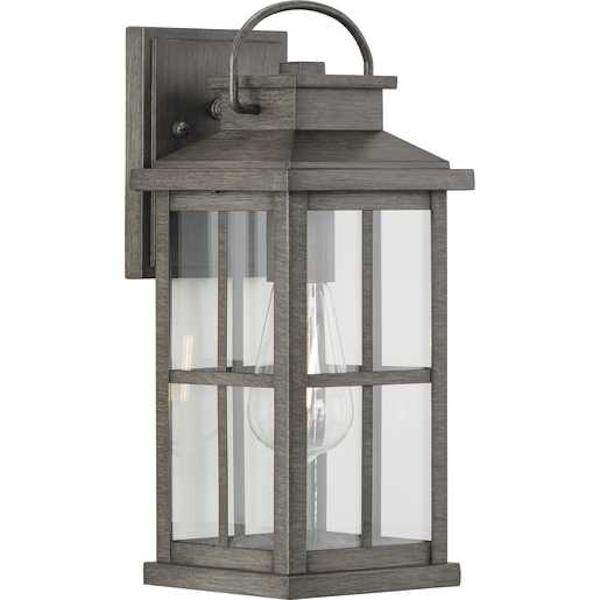 1 Light Antique Pewter with Clear Glass Wall Light Fixture