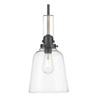 Progress Lighting 1 Light Graphite/Vintage Brass Clear Glass Bell Pendant Light Fixture