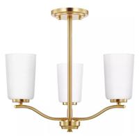 Progress Lighting 3 Light Satin Brass Etched White Glass Shade Convertible Chandelier Light Fixture