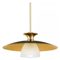 Progress Lighting 1 Light Brushed Bronze Graphite Accent Etched Glass Shade Pendant Light Fixture