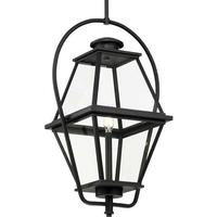 Progress Lighting 1 Light Black with Clear Glass Hanging Light Fixture