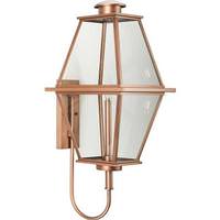 Progress Lighting 1 Light Antique Copper with Clear Glass Large Bradshaw Wall Light Fixture