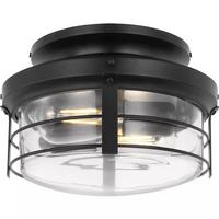 Progress Lighting 2 Light Matte Black Clear Glass Shade Springer II Collection Light Kit