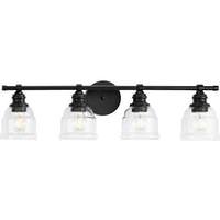 Progress Lighting 4 Light 120 volt Matte Black Vanity Clear Glass Light Fixture